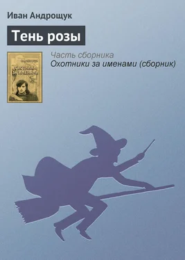 Иван Андрощук Тень розы обложка книги