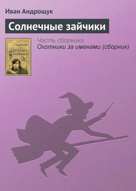 Иван Андрощук Солнечные зайчики обложка книги