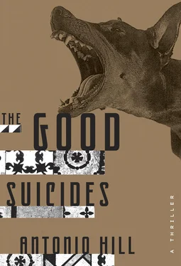 Antonio Hill The Good Suicides обложка книги