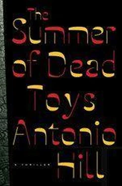 Antonio Hill The Summer of Dead Toys обложка книги