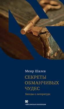 Меир Шалев Секреты обманчивых чудес. Беседы о литературе обложка книги