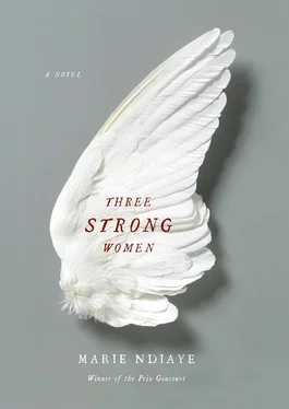 Marie Ndiaye Three Strong Women обложка книги