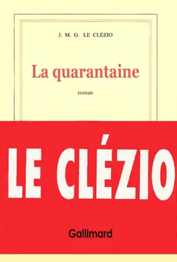 Jean-Marie Le Clézio La quarantaine обложка книги