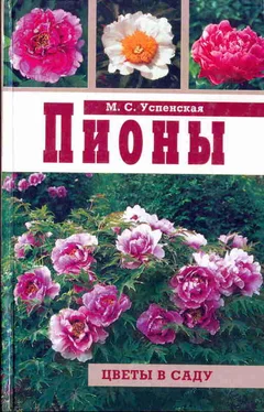 Марианна Успенская Пионы обложка книги