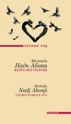 Мелинда Абони - Взлетают голуби