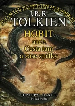 John Tolkien Hobit aneb Cesta tam a zase zpátky обложка книги