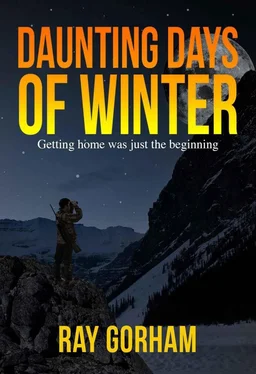 Ray Gorham Daunting Days of Winter обложка книги