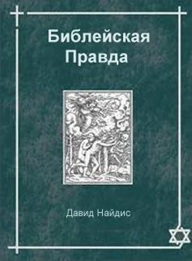 Давид Найдис Библейская Правда обложка книги