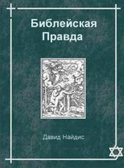 Давид Найдис - Библейская Правда