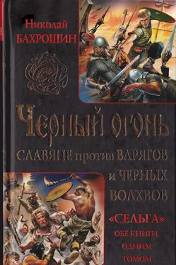 Николай Бахрошин Черный огонь. Славяне против варягов и черных волхвов обложка книги