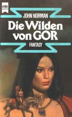 John Norman Die Wilden Von Gor