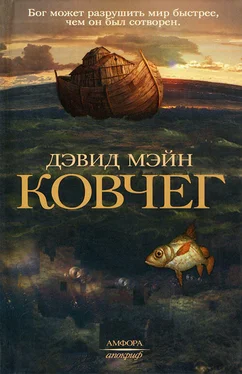 Дэвид Мэйн Ковчег обложка книги