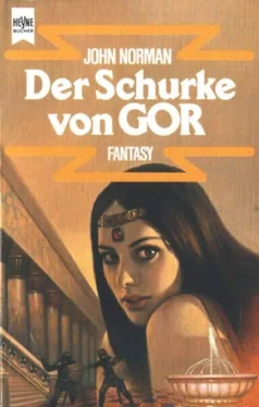 John Norman Der Schurke von Gor обложка книги