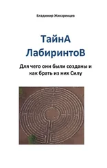 Владимир Жикаренцев - Тайна лабиринтов. Для чего они были созданы и как брать из них Силу