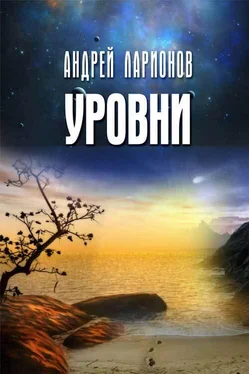 Андрей Ларионов Уровни обложка книги