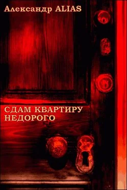 Александр Alias Сдам квартиру недорого обложка книги