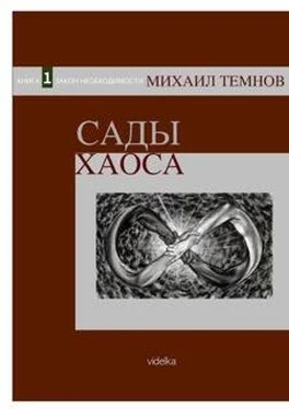 Михаил Темнов Сады Хаоса. Книга 1. Закон необходимости обложка книги