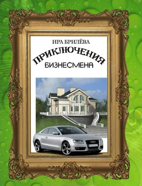 Ира Брилёва Приключения бизнесмена обложка книги