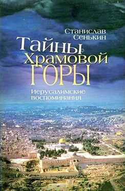 Станислав Сенькин Тайны Храмовой горы. Иерусалимские воспоминания обложка книги