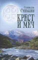 Станислав Сенькин - Крест и меч