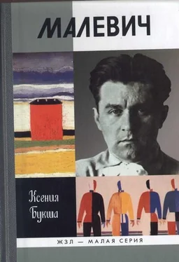 Ксения Букша Малевич обложка книги