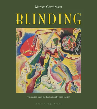 Mircea Cărtărescu Blinding: Volume 1 обложка книги