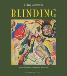 Mircea Cărtărescu - Blinding - Volume 1