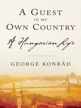 George Konrad A Guest in my Own Country обложка книги