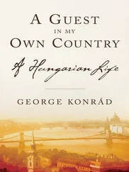 George Konrad - A Guest in my Own Country