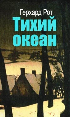 Герхард Рот Тихий океан обложка книги