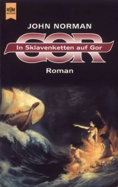 John Norman In Sklavenketten auf Gor обложка книги