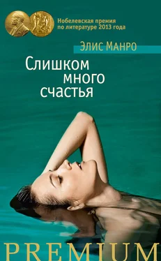 Элис Манро Слишком много счастья (сборник) обложка книги