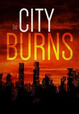 BJ Knights The City Burns обложка книги