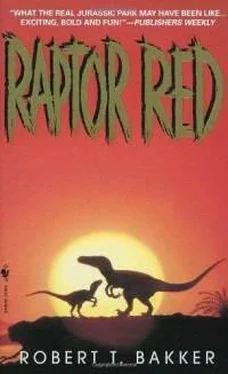 Robert Bakker RAPTOR RED обложка книги