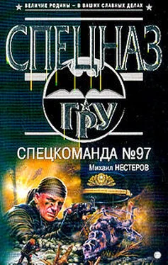 Михаил Нестеров Спецкоманда №97 обложка книги