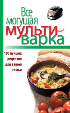 Е. Левашева Все могущая мультиварка. 100 лучших рецептов для вашей семьи обложка книги