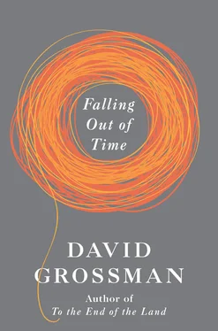 David Grossman Falling out of time обложка книги