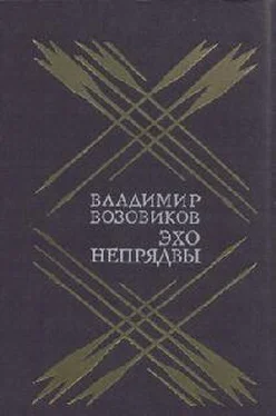 Владимир Возовиков Эхо Непрядвы обложка книги