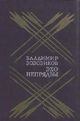 Владимир Возовиков - Эхо Непрядвы
