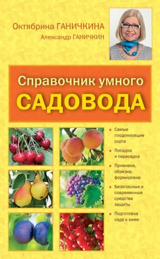 Октябрина Ганичкина Справочник умелого садовода обложка книги