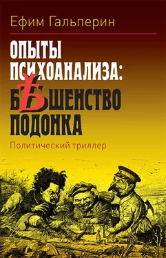 Ефим Гальперин Опыты психоанализа: бешенство подонка обложка книги