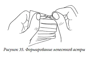 От зеленой бумаги отрезать полоску длиной 1012 см и шириной 23 см сложить ее - фото 35