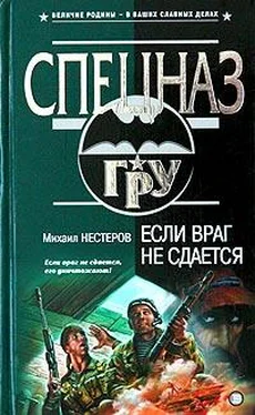 Михаил Нестеров Если враг не сдается обложка книги