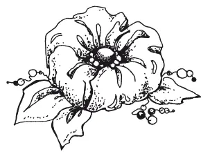 Рисунок 13 Цветок в форме розетки Цветок с круглыми лепестками лучше всего - фото 15
