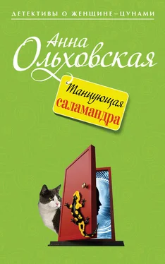 Анна Ольховская Танцующая саламандра обложка книги