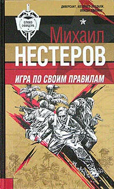 Михаил Нестеров Игра по своим правилам обложка книги