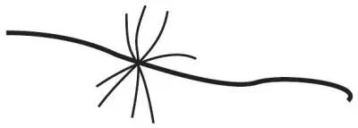 Звезда это признак фатума Если на руке есть хотя бы две звезды то можно - фото 174