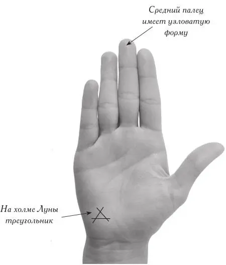 Изобретатель Скульптор Шахтер Путешест - фото 210