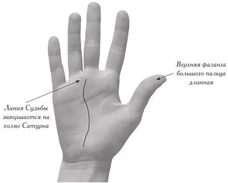 Профессии связанные с религиозной деятельностью священник Врач Кулинар - фото 215