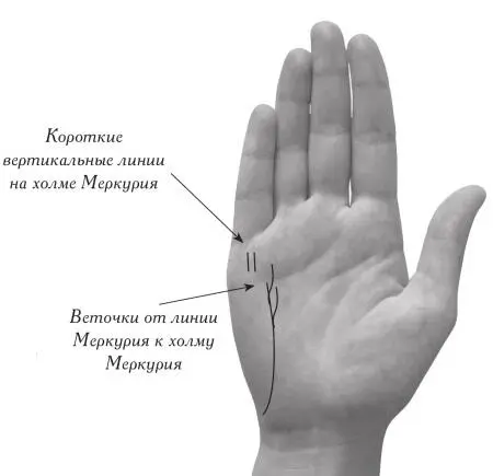 Врач Кулинар Профессии связанные с религиозной деятельностью священник На - фото 216
